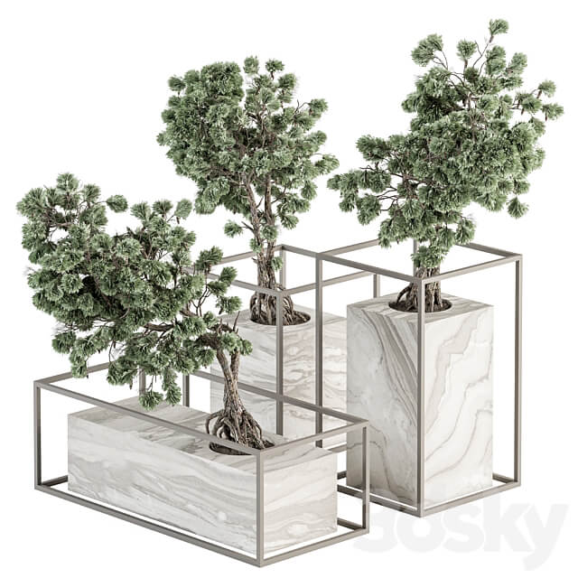 indoor Plant Set 358 Bonsai Set Plant in pot 3D Models