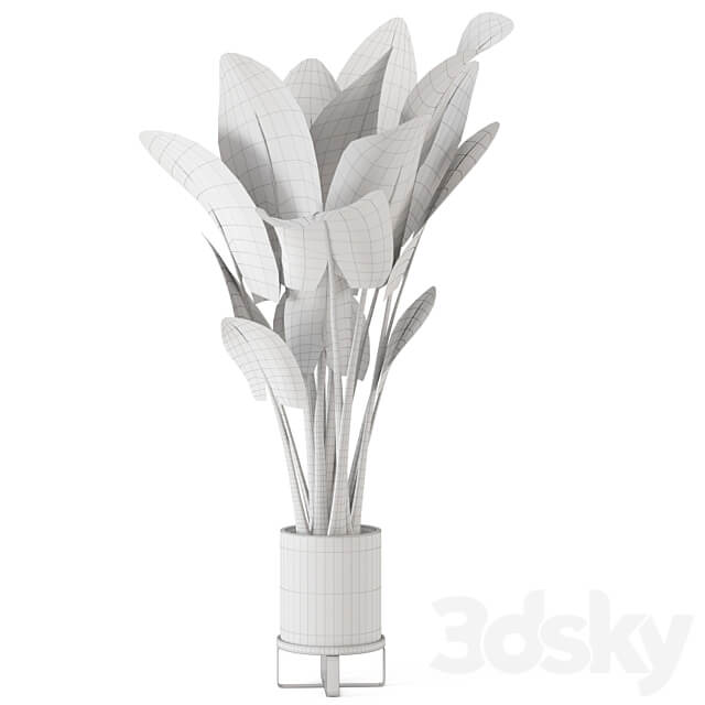 Indoor Plants in Ferm Living Bau Pot Large Set 555 3D Models