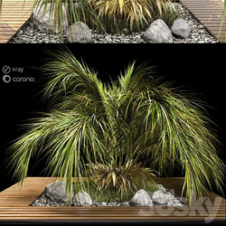 palm tree 3D Models 