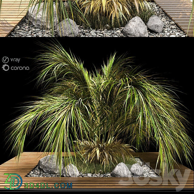palm tree 3D Models