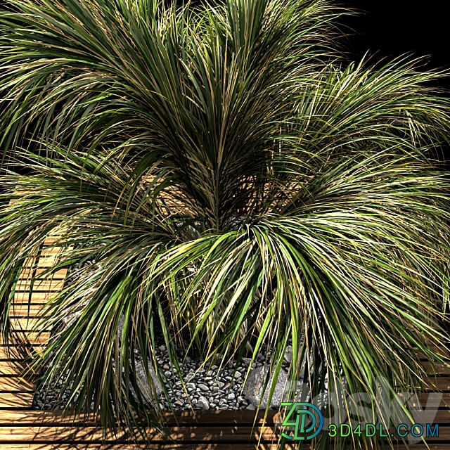 palm tree 3D Models