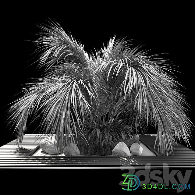 palm tree 3D Models
