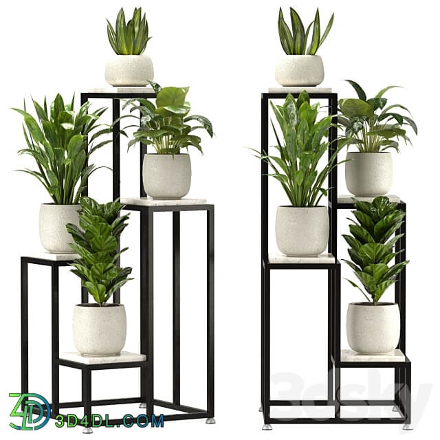 Collection Indoor Plants Set Nim08 3D Models