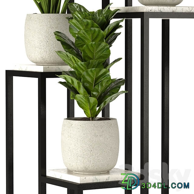 Collection Indoor Plants Set Nim08 3D Models