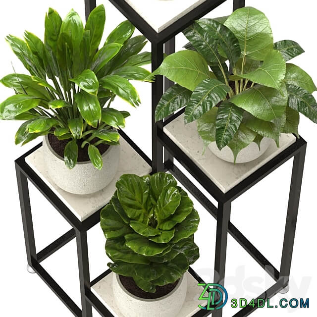 Collection Indoor Plants Set Nim08 3D Models