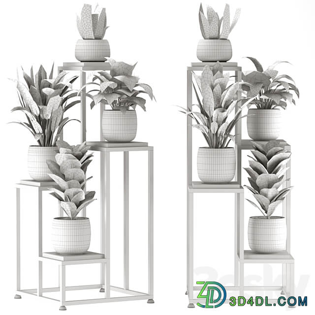 Collection Indoor Plants Set Nim08 3D Models