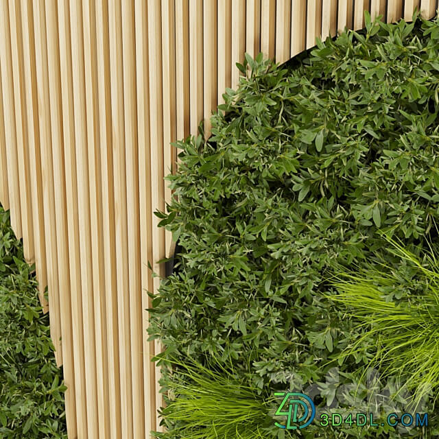 Collection plant vol 331 leaf Fitowall 3D Models