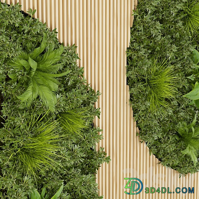 Collection plant vol 331 leaf Fitowall 3D Models