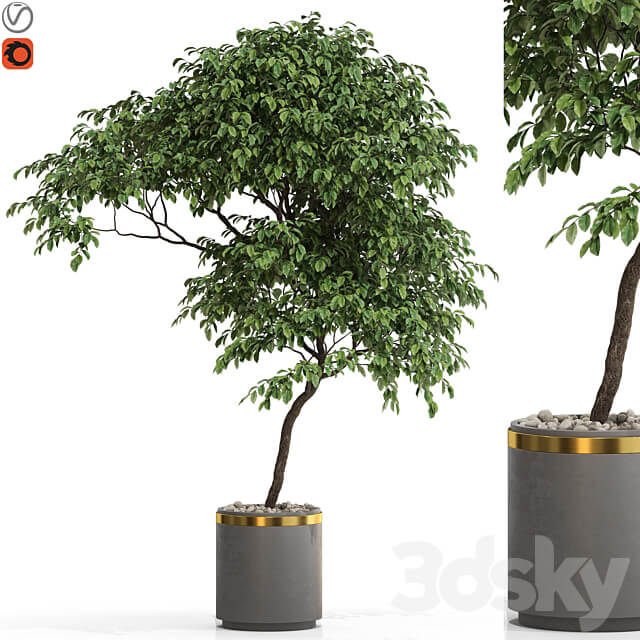 Plants collection 700 3D Models