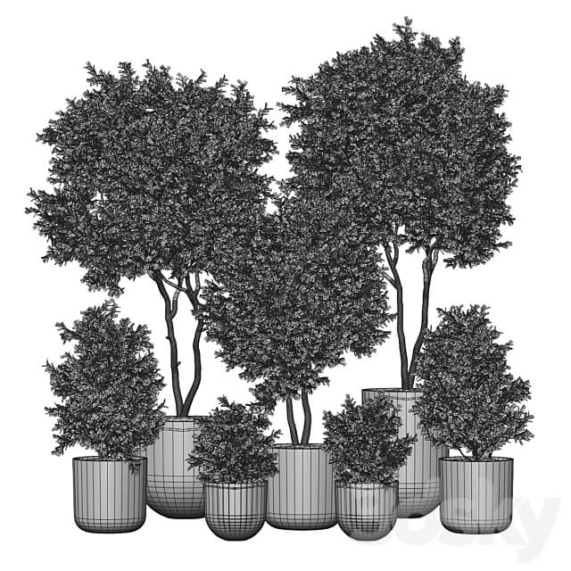 Indoor Plant 2 3D Models