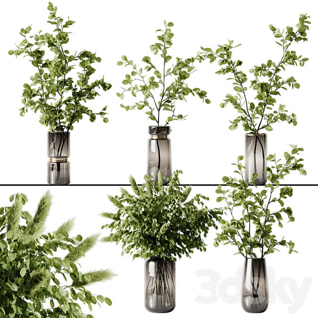 Plant 3 3D Models