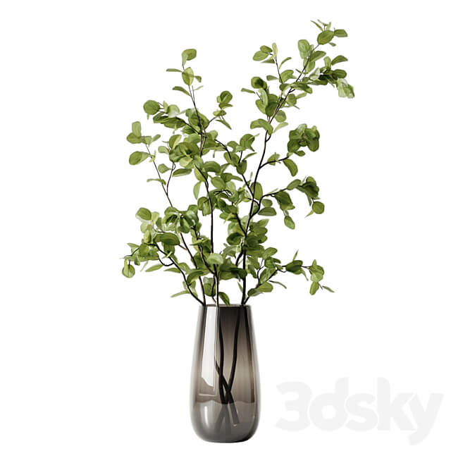 Plant 3 3D Models