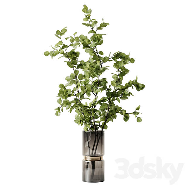 Plant 3 3D Models