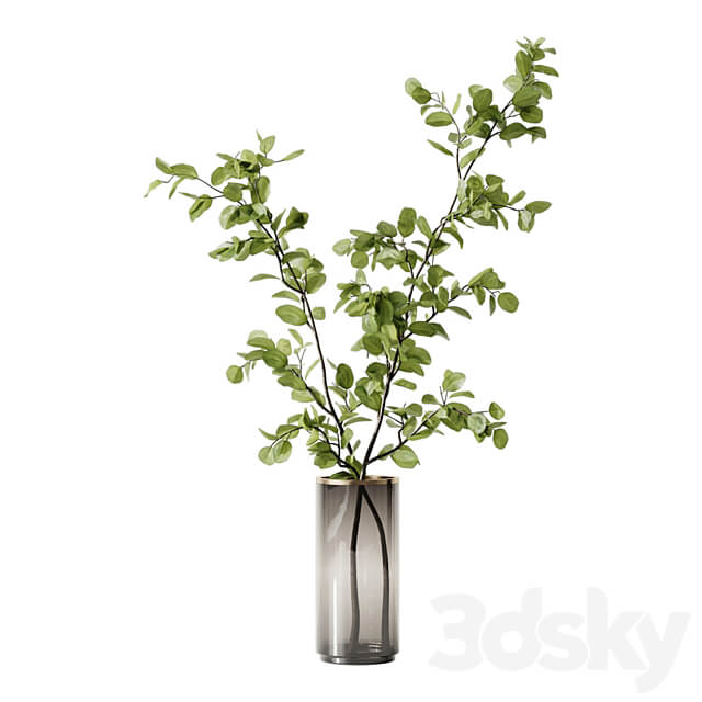 Plant 3 3D Models
