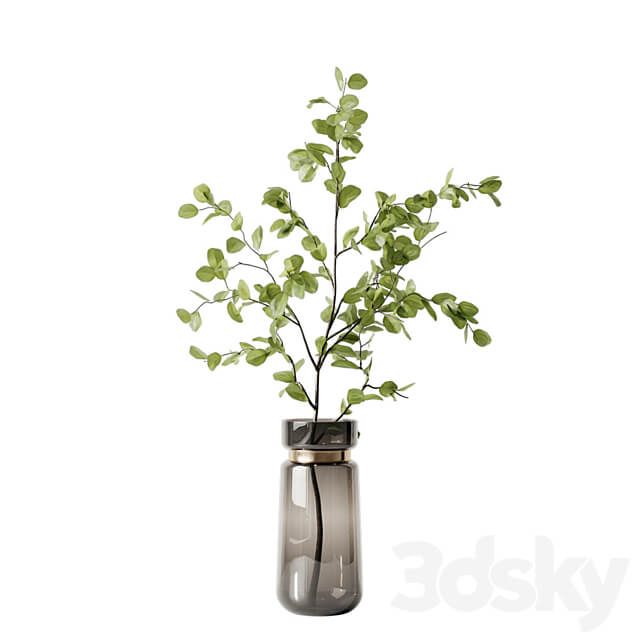 Plant 3 3D Models