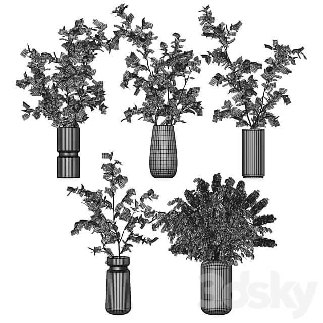 Plant 3 3D Models