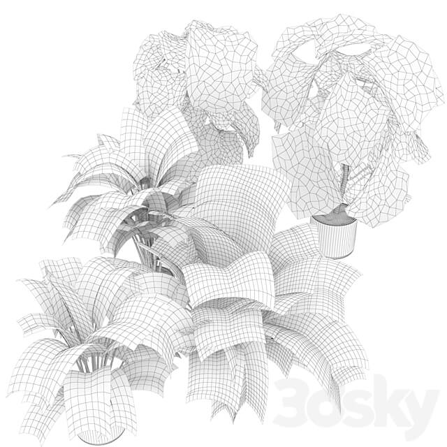 Collection plant vol 334 indoor monstera 3D Models