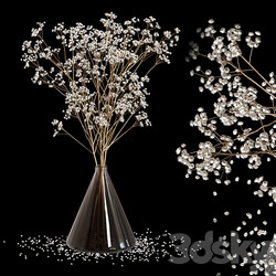 Dry Flowers 2 3D Models 