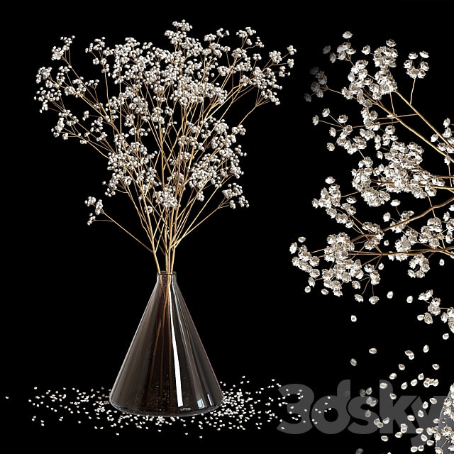 Dry Flowers 2 3D Models