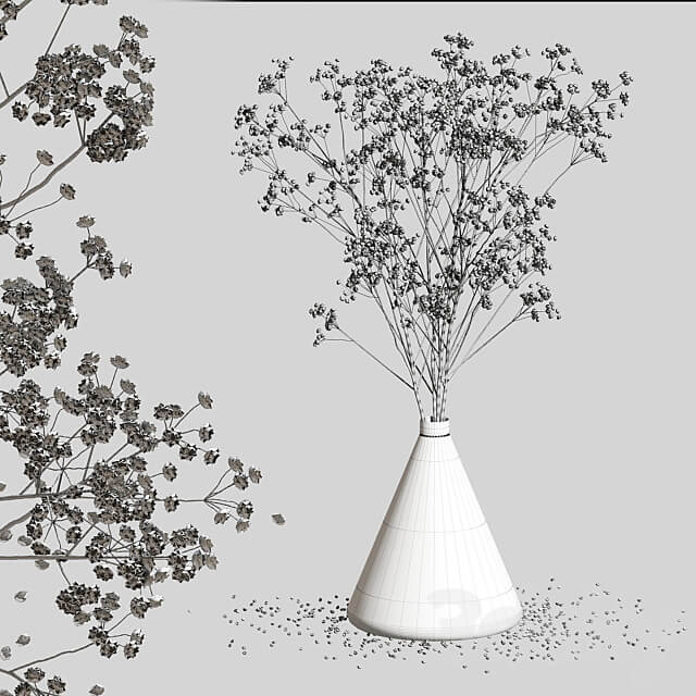 Dry Flowers 2 3D Models