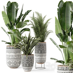 Indoor Plants in rusty Concrete Pot Set 628 3D Models 