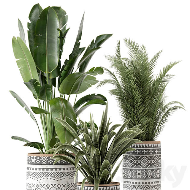 Indoor Plants in rusty Concrete Pot Set 628 3D Models