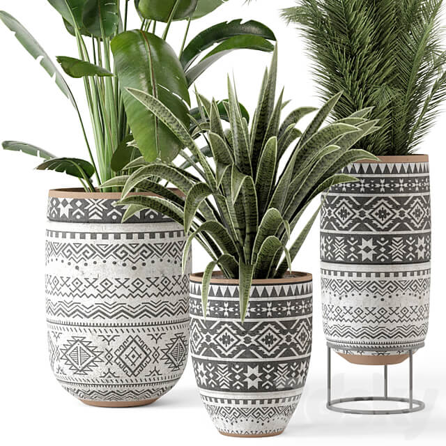 Indoor Plants in rusty Concrete Pot Set 628 3D Models
