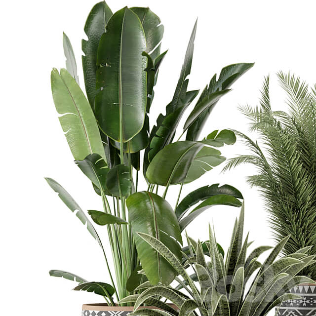 Indoor Plants in rusty Concrete Pot Set 628 3D Models