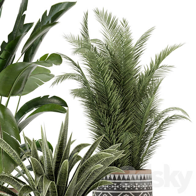 Indoor Plants in rusty Concrete Pot Set 628 3D Models