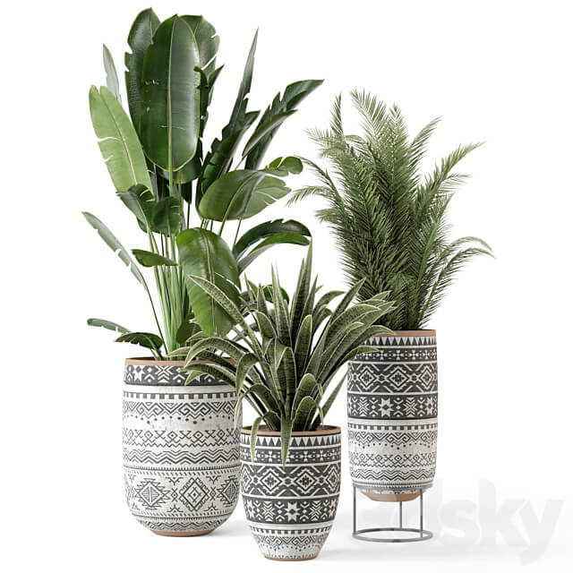 Indoor Plants in rusty Concrete Pot Set 628 3D Models