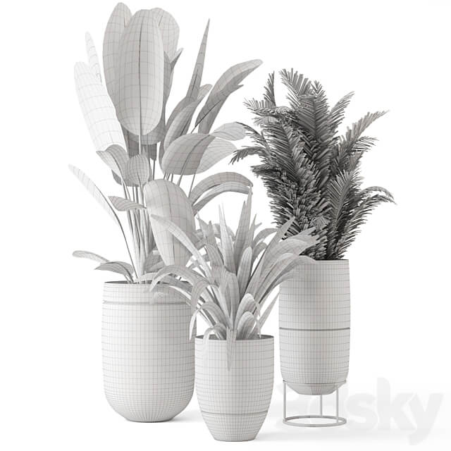 Indoor Plants in rusty Concrete Pot Set 628 3D Models