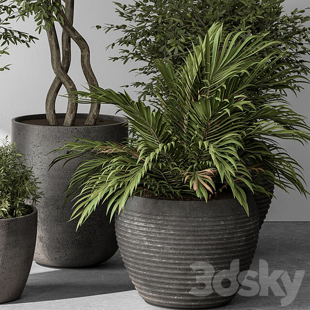 Outdoor Plant Set 393 Plant Set in Concrete Pot 3D Models