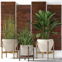 Collection of plants in pots 6. Flower pot bush flowerpot interior indoor alocasia copper decor panels wall decor Uttermost paintings abstraction luxury 3D Models 