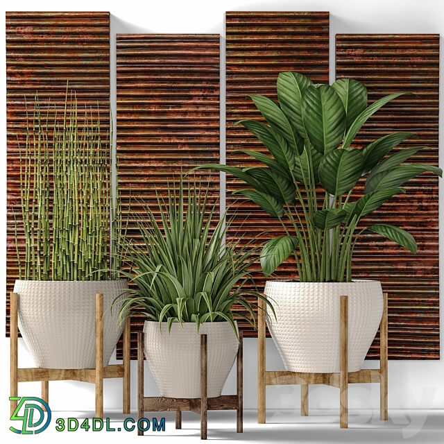 Collection of plants in pots 6. Flower pot bush flowerpot interior indoor alocasia copper decor panels wall decor Uttermost paintings abstraction luxury 3D Models