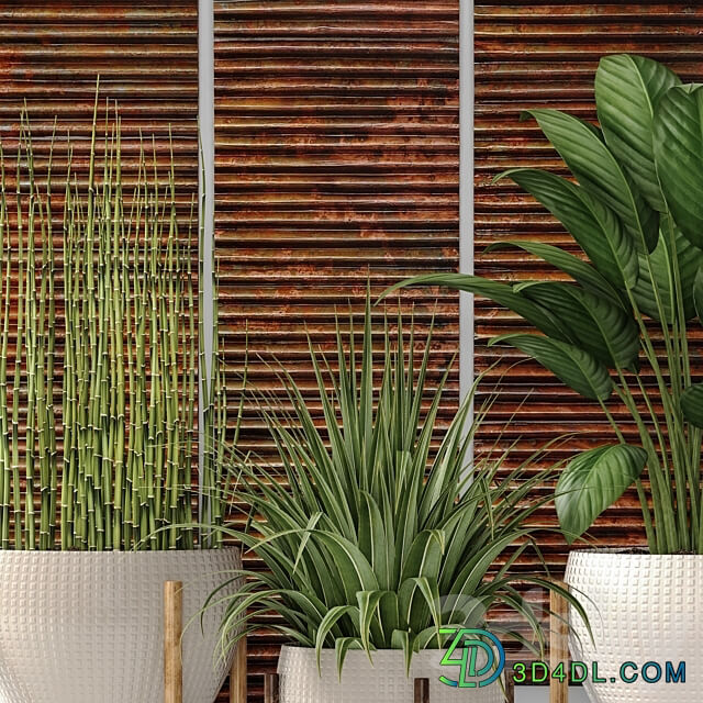 Collection of plants in pots 6. Flower pot bush flowerpot interior indoor alocasia copper decor panels wall decor Uttermost paintings abstraction luxury 3D Models