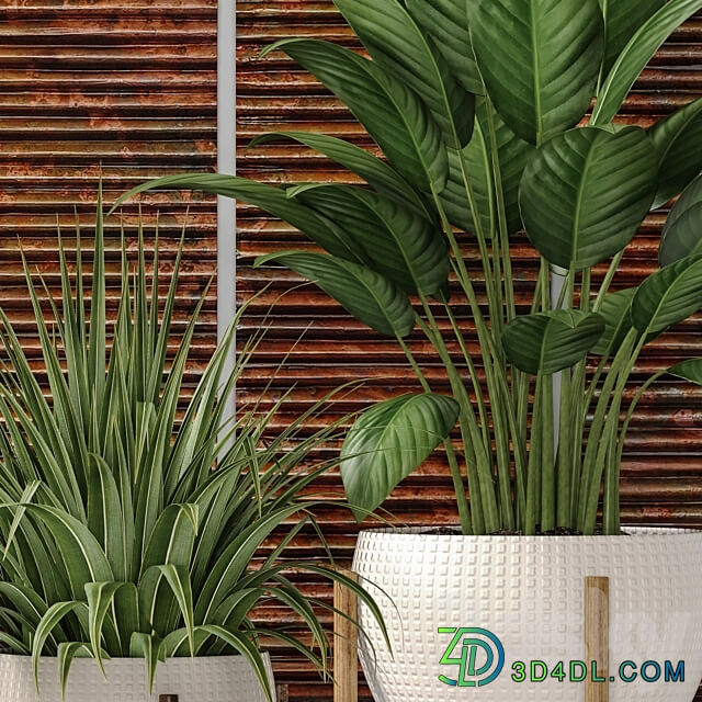 Collection of plants in pots 6. Flower pot bush flowerpot interior indoor alocasia copper decor panels wall decor Uttermost paintings abstraction luxury 3D Models