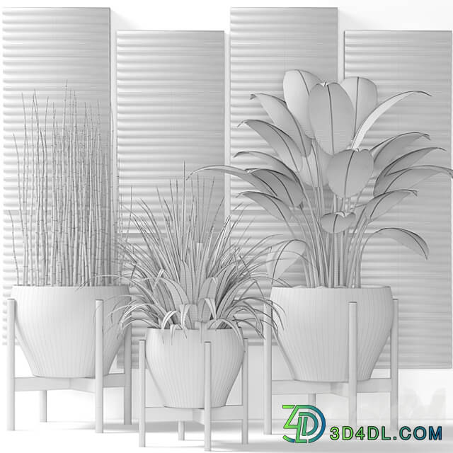 Collection of plants in pots 6. Flower pot bush flowerpot interior indoor alocasia copper decor panels wall decor Uttermost paintings abstraction luxury 3D Models