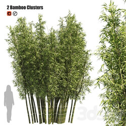 2 Bamboo Clusters 3D Models 