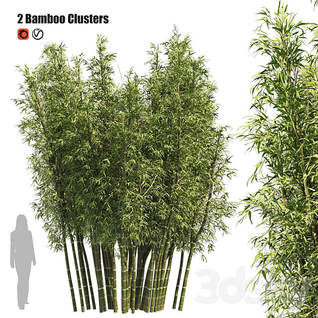 2 Bamboo Clusters 3D Models
