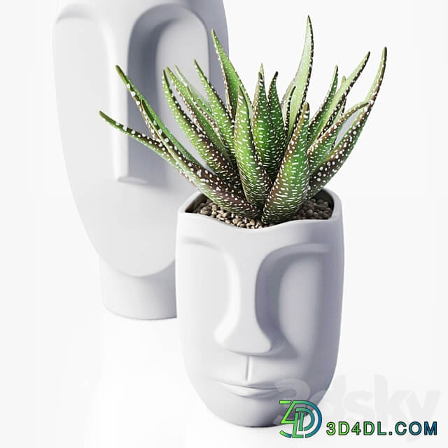 Decor Vase 1 3D Models