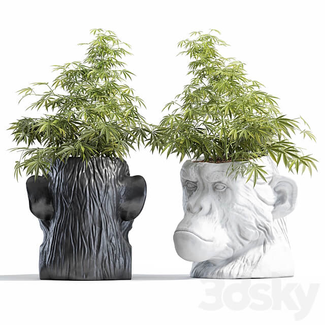 Ape Head Planter 3D Models