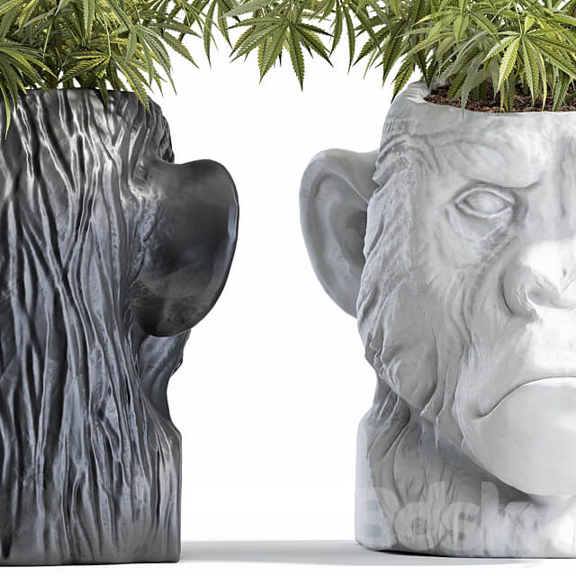 Ape Head Planter 3D Models