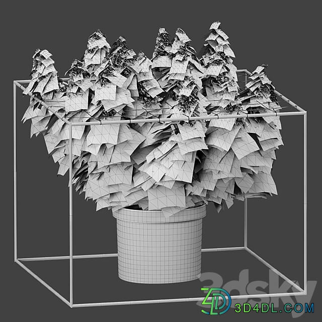 FLOWER PACK 251С Cannabis 3D Models