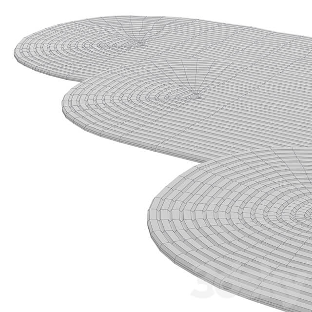 Natural Oval shape long Braided Jute Rug 3D Models