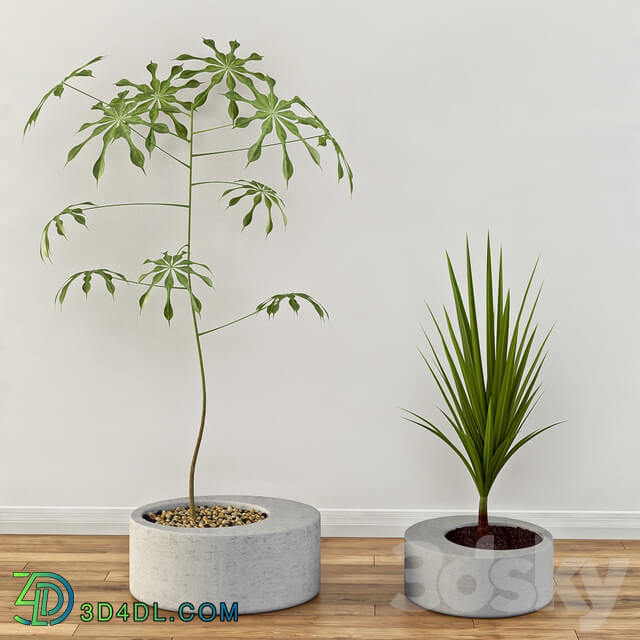 Obleeek Concrete Planter Set 3D Models