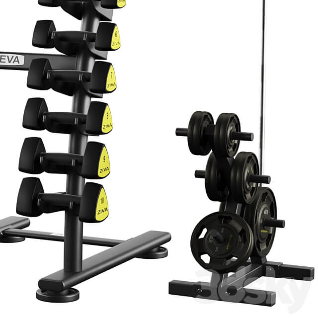 Dumbbell barbell set ZIVA 3D Models