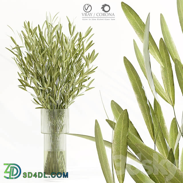 Olive In Dina Fluted Glass Vase 3D Models