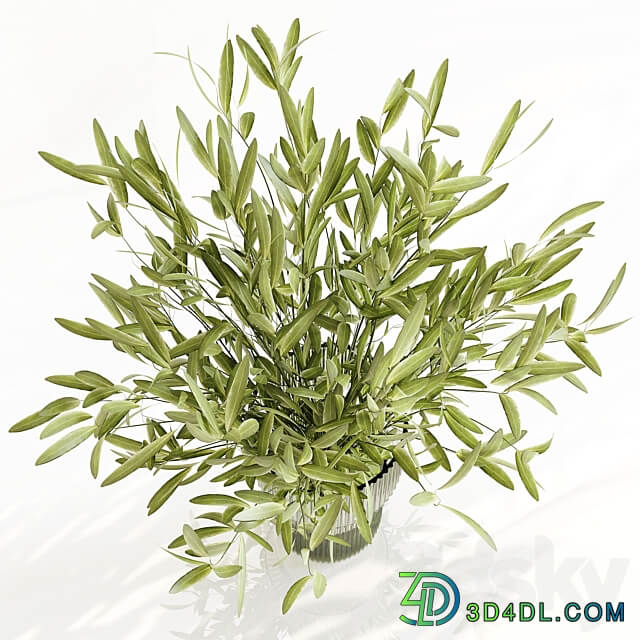 Olive In Dina Fluted Glass Vase 3D Models