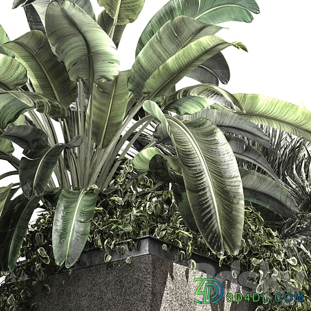 OUTDOOR PLANT BOX V3 3D Models
