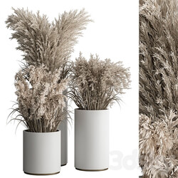 indoor Plant Set 406 Dried Plant Set in Pot 3D Models 
